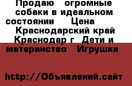 Продаю 2 огромные собаки в идеальном состоянии,- › Цена ­ 1 000 - Краснодарский край, Краснодар г. Дети и материнство » Игрушки   